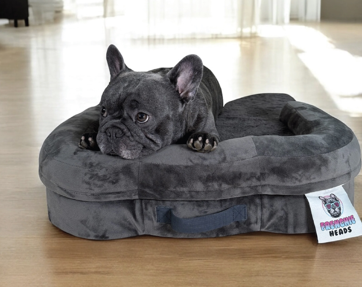 Frenchie Heads premium orthopedic memory foam dog bed developed by studioFAR